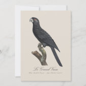 Le Grand Vaza / Greater Vasa Parrot Dankeskarte (Vorderseite)