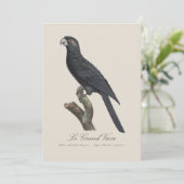 Le Grand Vaza / Greater Vasa Parrot Dankeskarte (Stehend Vorderseite)