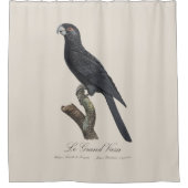 Le Grand Vaza / Greater Vasa Parrot Duschvorhang (Vorderseite)