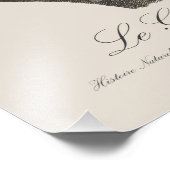 Le Grand Vaza / Greater Vasa Parrot Fotodruck (Ecke)