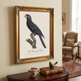 Le Grand Vaza / Greater Vasa Parrot Fotodruck
