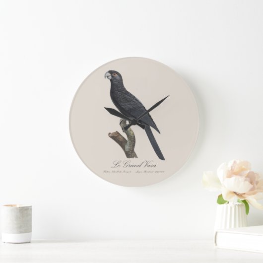 Le Grand Vaza / Greater Vasa Parrot Große Wanduhr (Zuhause)