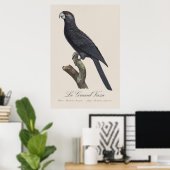 Le Grand Vaza / Greater Vasa Parrot Poster (Heimbüro)
