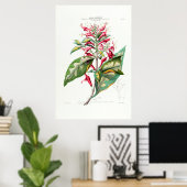 Le Jalap Botanical Amerique Floral Poster (Heimbüro)