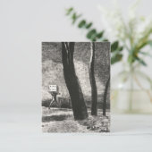 Le Joueur (The Player) von Odilon Redon Postkarte (Stehend Vorderseite)