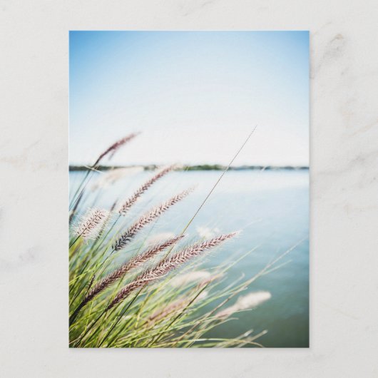 Le long du Saint-Laurent Postkarte (Vorderseite)