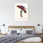 Le Lori a franges bleues Leinwanddruck (Insitu (Schlafzimmer))