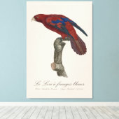 Le Lori a franges bleues Leinwanddruck (Insitu (Holzboden))