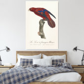 Le Lori a franges bleues Leinwanddruck (Insitu (Schlafzimmer))