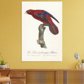 Le Lori a franges bleues Leinwanddruck (Insitu (Wohnzimmer))