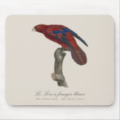 Le Lori a franges bleues Mousepad (Vorne)