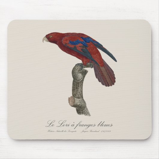 Le Lori a franges bleues Mousepad (Vorne)