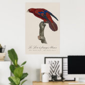 Le Lori a franges bleues Poster (Heimbüro)