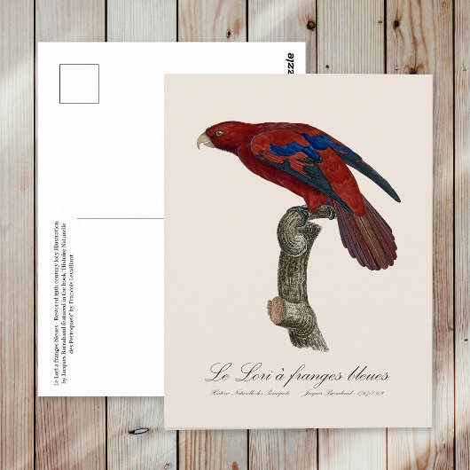 Le Lori a franges bleues Postkarte