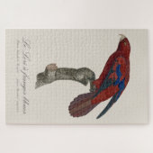 Le Lori a franges bleues Puzzle (Horizontal)