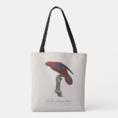 Le Lori a franges bleues Tasche (Rückseite)