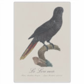 Le Lori noir / Black Lory Aufkleber (Vorderseite)