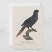 Le Lori noir / Black Lory Dankeskarte (Vorderseite)