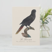 Le Lori noir / Black Lory Dankeskarte (Stehend Vorderseite)