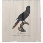 Le Lori noir / Black Lory Duschvorhang (Vorderseite)