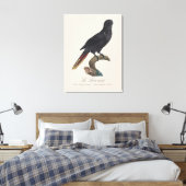 Le Lori noir / Black Lory Leinwanddruck (Insitu (Schlafzimmer))