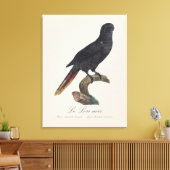 Le Lori noir / Black Lory Leinwanddruck (Insitu (Wohnzimmer))