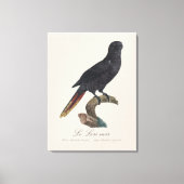 Le Lori noir / Black Lory Leinwanddruck (Vorderseite)