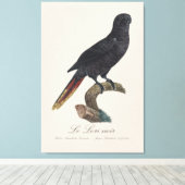 Le Lori noir / Black Lory Leinwanddruck (Insitu (Holzboden))