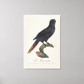 Le Lori noir / Black Lory Leinwanddruck (Vorderseite)
