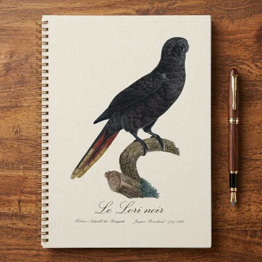 Le Lori noir / Black Lory Planer