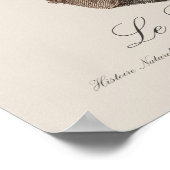 Le Lori noir / Black Lory Poster (Ecke)