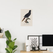 Le Lori noir / Black Lory Poster (Heimbüro)