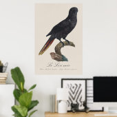 Le Lori noir / Black Lory Poster (Heimbüro)
