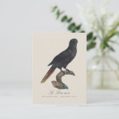 Le Lori noir / Black Lory Postkarte (Stehend Vorderseite)