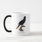 Le Lori noir / Black Lory Verwandlungstasse (Links)