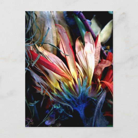 le passage des fleurs postkarte (Vorderseite)