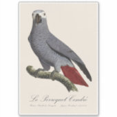 Le Perroquet Cendre - Illustration aus dem 19. Jah Aufkleber (Vorderseite)