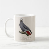 Le Perroquet Cendre - Illustration aus dem 19. Jah Kaffeetasse (Links)