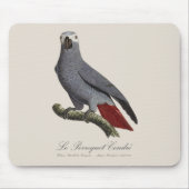 Le Perroquet Cendre - Illustration aus dem 19. Jah Mousepad (Vorne)