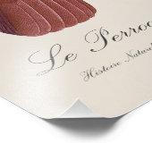 Le Perroquet cendre Tapire Fotodruck (Ecke)