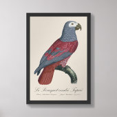 Le Perroquet cendre Tapire Fotodruck