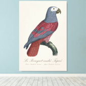 Le Perroquet cendre Tapire Leinwanddruck (Insitu (Holzboden))