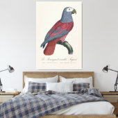 Le Perroquet cendre Tapire Leinwanddruck (Insitu (Schlafzimmer))
