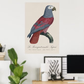 Le Perroquet cendre Tapire Poster (Heimbüro)