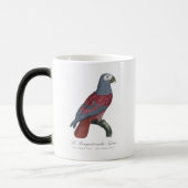 Le Perroquet cendre Tapire Verwandlungstasse (Links)
