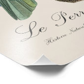 Le Perroquet Dufrene / Blaupecker Amazon Fotodruck (Ecke)