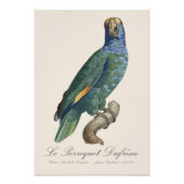 Le Perroquet Dufrene / Blaupecker Amazon Fotodruck (Vorne)