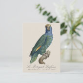 Le Perroquet Dufrene / Blaupecker Amazon Postkarte (Stehend Vorderseite)
