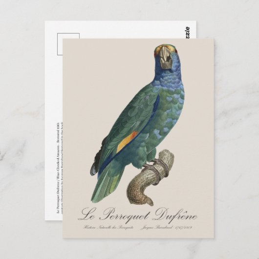 Le Perroquet Dufrene / Blaupecker Amazon Postkarte (Vorne/Hinten)
