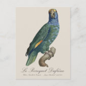 Le Perroquet Dufrene / Blaupecker Amazon Postkarte (Vorderseite)